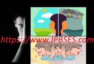 رگه های شخصیت مرزی، سلامت روان و عملکرد شغلی جامعه
