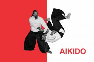 ورزش‌های رزمی و کاهش خشونت و پرخاشگری کودکان؛ سنسی سعید دهقان، دان 4 آیکیدو