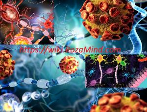 عفونت ویروسی MS: عامل احتمالی بروز و تشدید MS